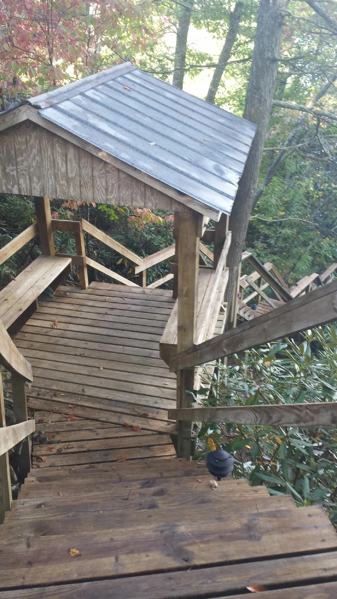 Metal roofed shelter over wooden steps on a wooded walkway — Skylight Repair & Installation work by our crew in Bonham
