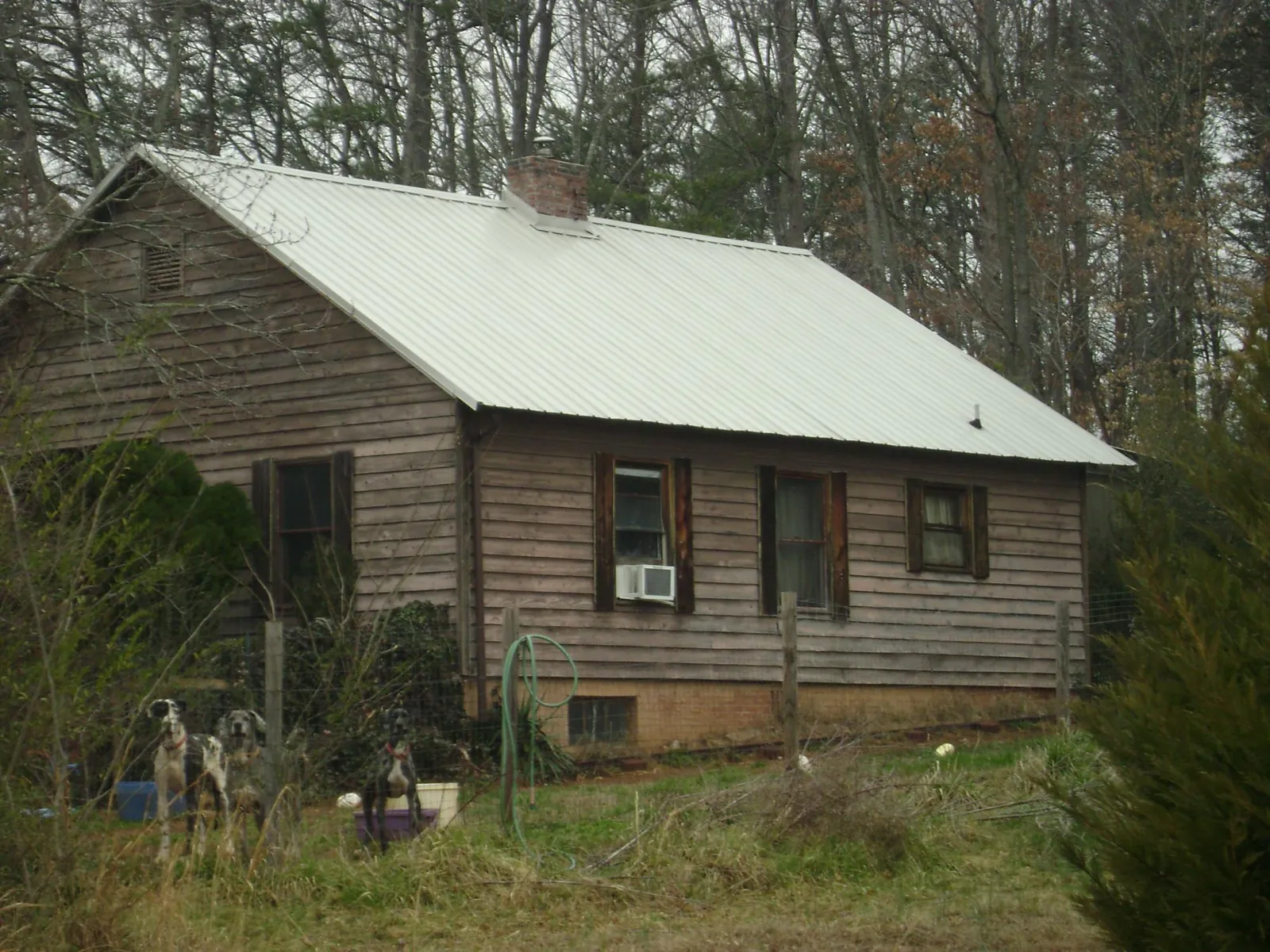White metal roof on an old wood sided farmhouse, from a Asphalt Shingle Roof Repair job in Bonham